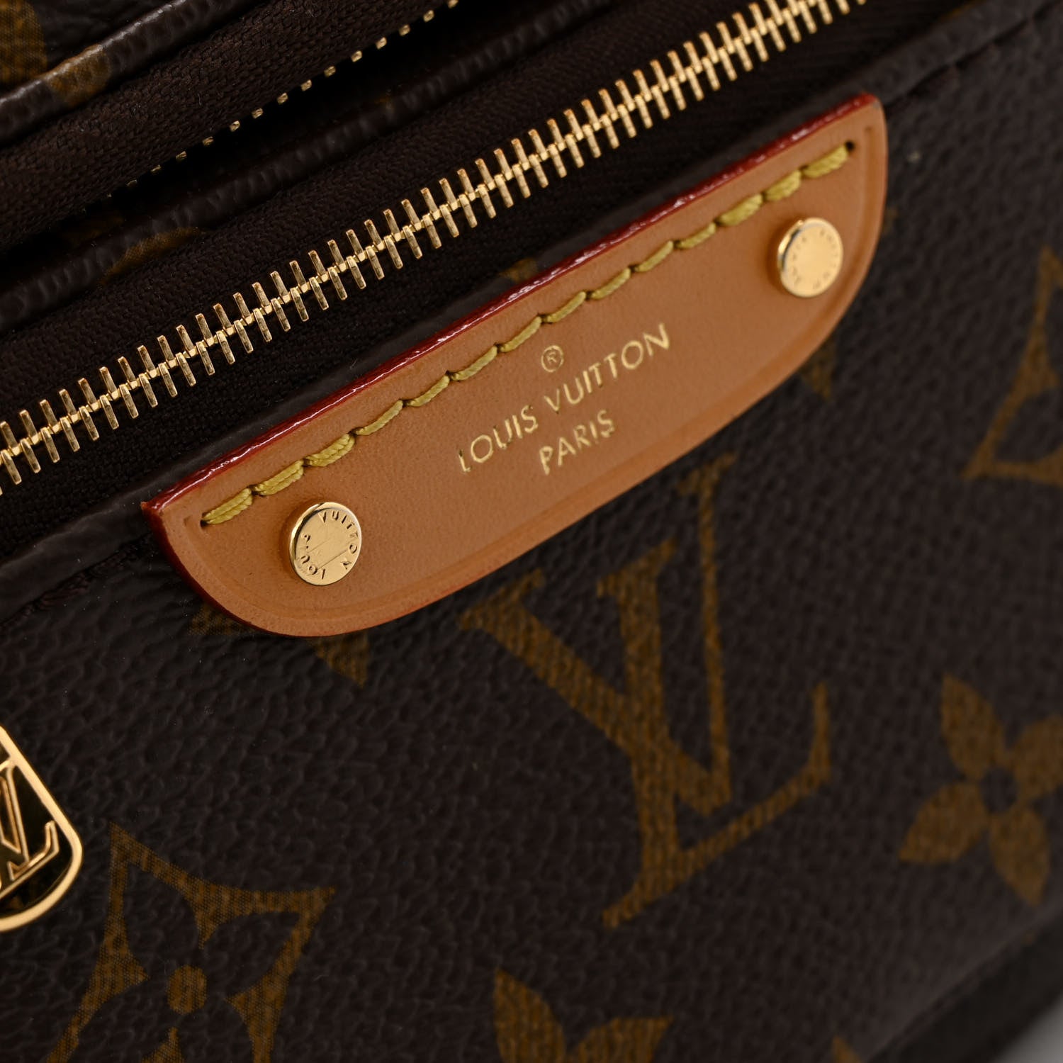 Louis Vuitton Monogram Mini Bumbag 10 of 13