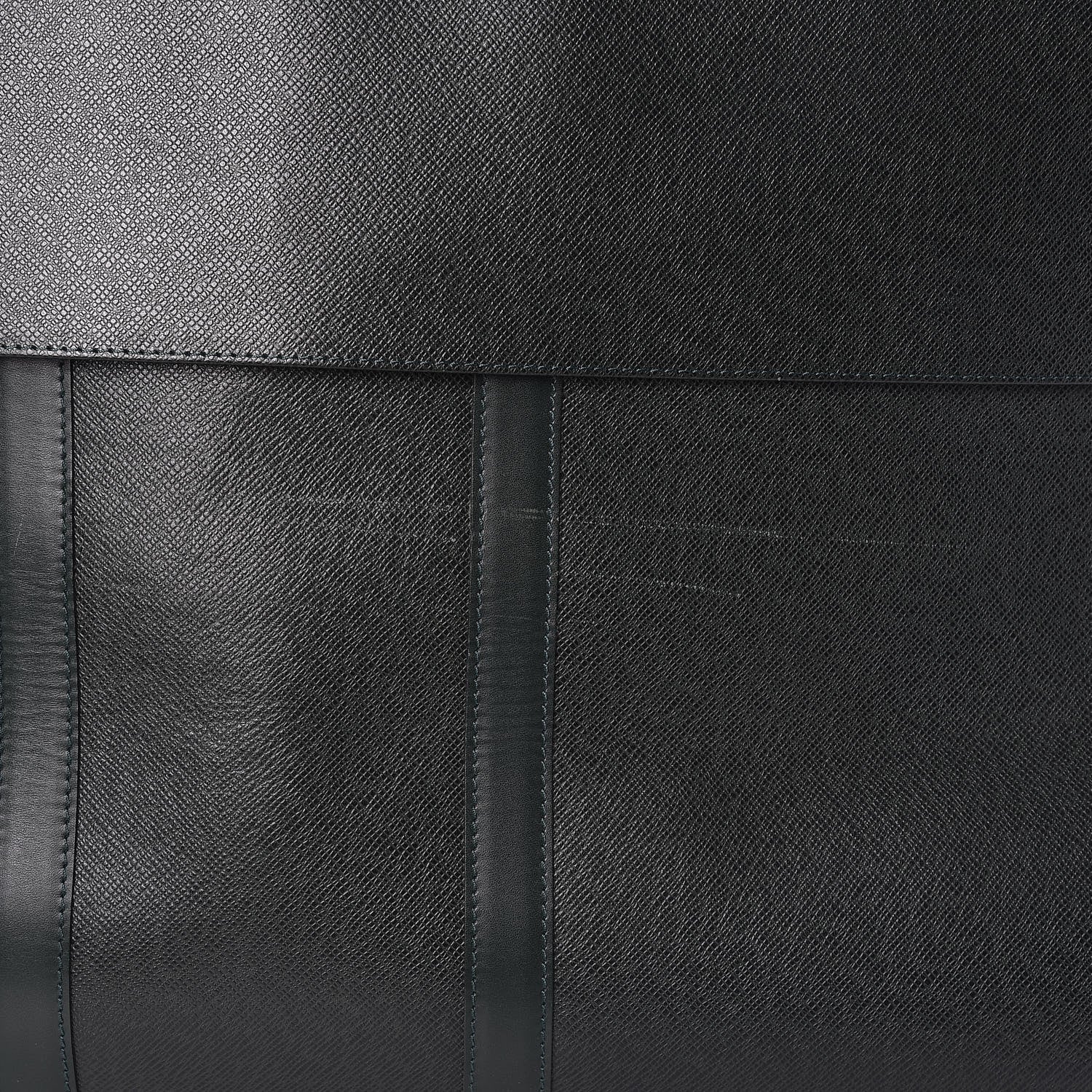 Louis Vuitton Taiga Housse Bering Garment Cover Epicea 7 of 7