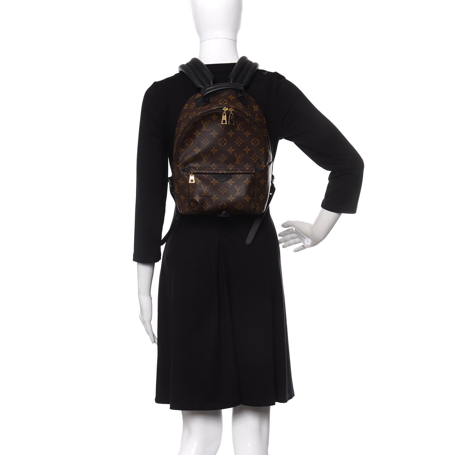 Louis Vuitton Monogram Palm Springs Backpack PM 2 of 9