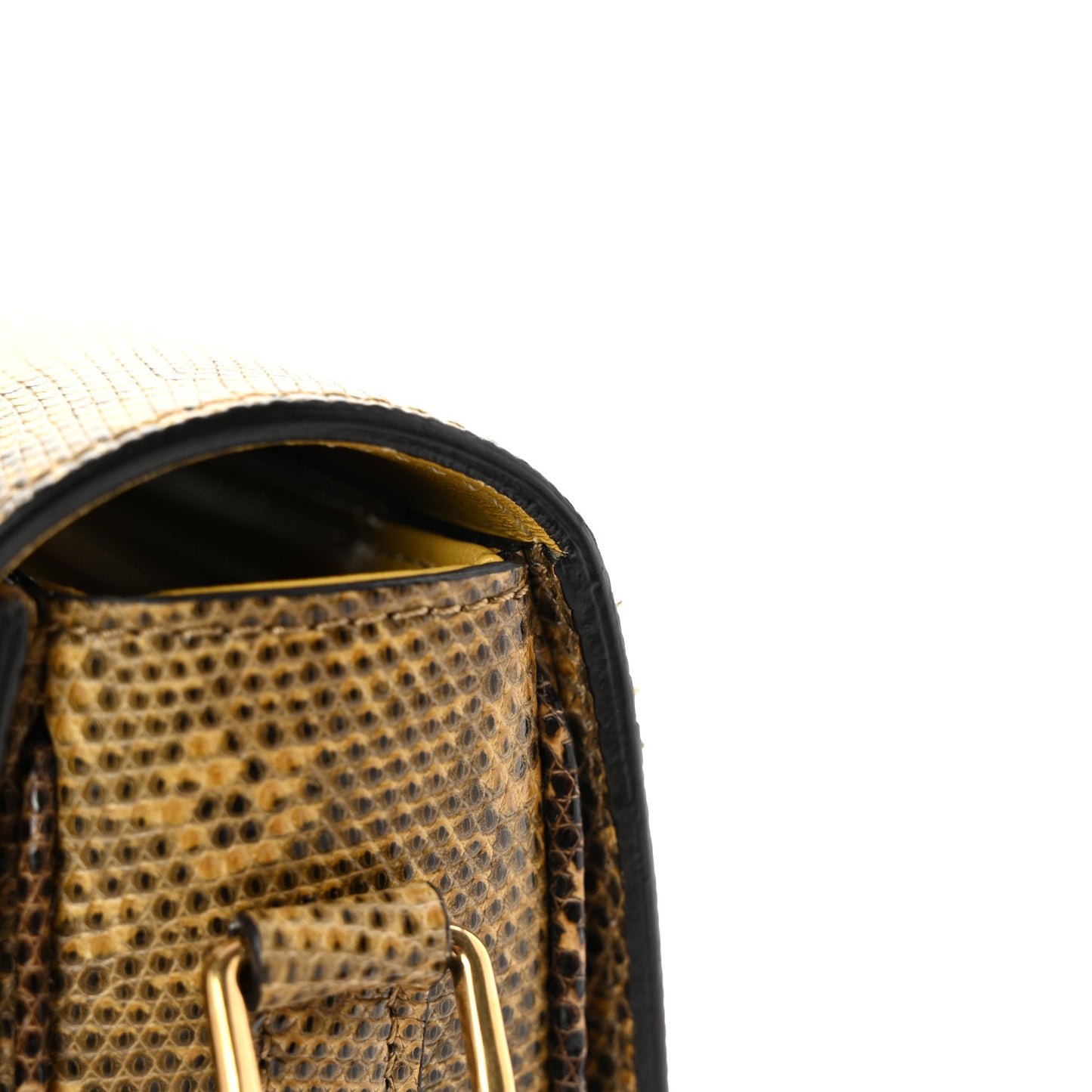 Lizard Teen Triomphe Ochre