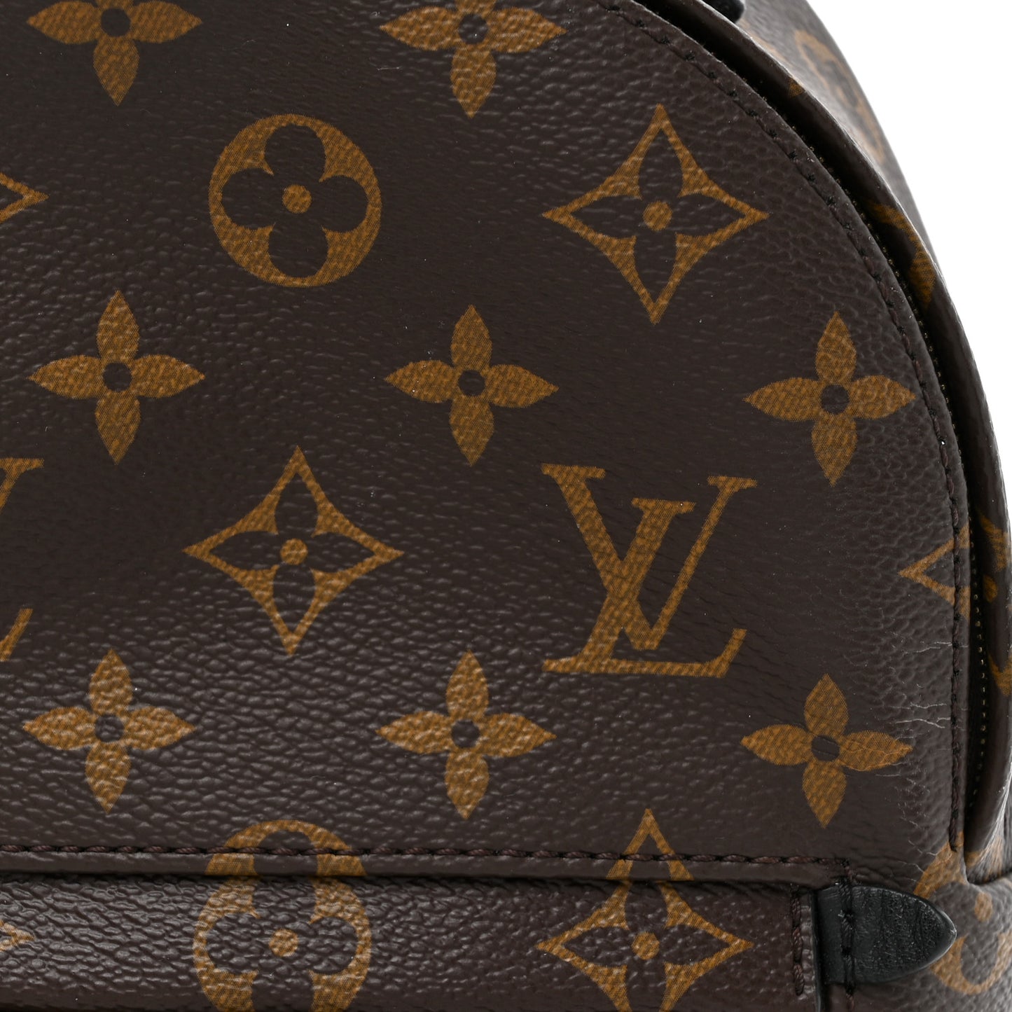 Monogram Palm Springs Backpack Mini