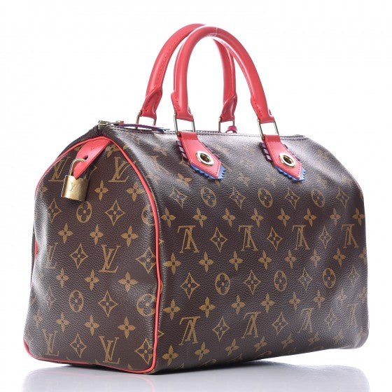 Monogram Totem Speedy 30 Flamingo