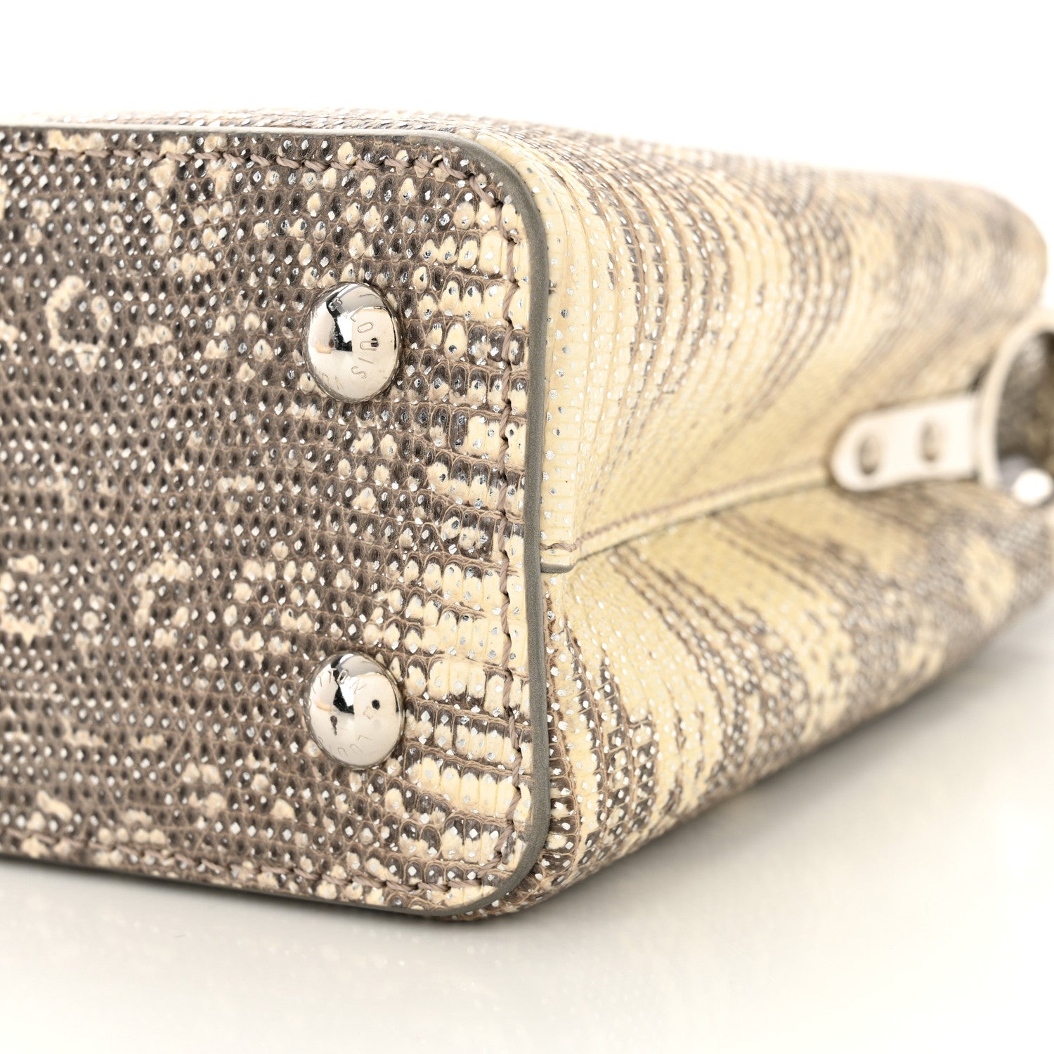 Louis Vuitton Lizard Mini Capucines Argento 10 of 10