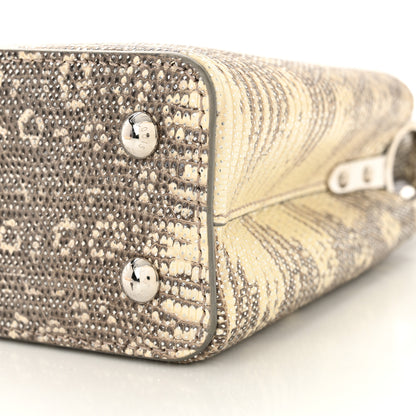 Louis Vuitton Lizard Mini Capucines Argento 10 of 10