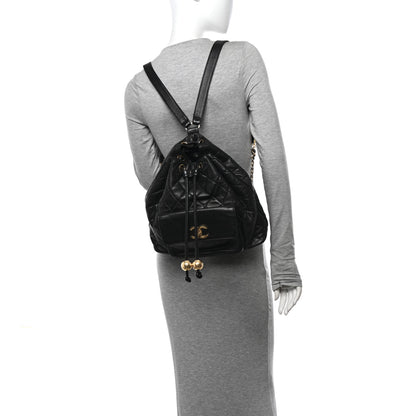 Chanel Lambskin Quilted Drawstring Backpack Black 2 of 18