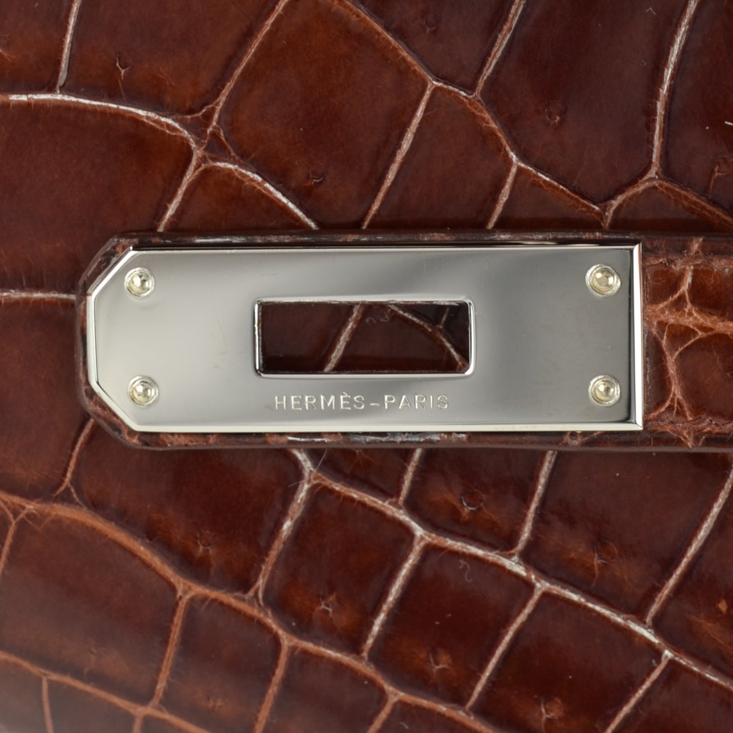 Shiny Niloticus Crocodile Kelly Cut Pochette Miel