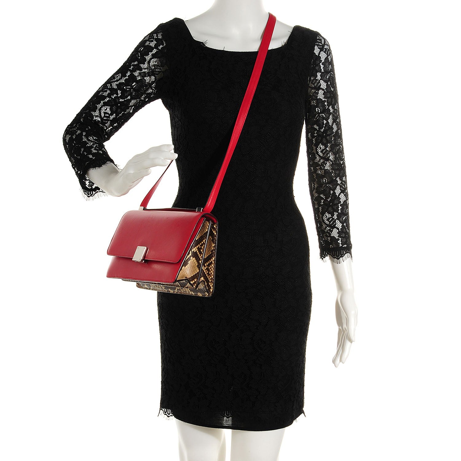 Celine Smooth Calfskin Python Case 2 of 9