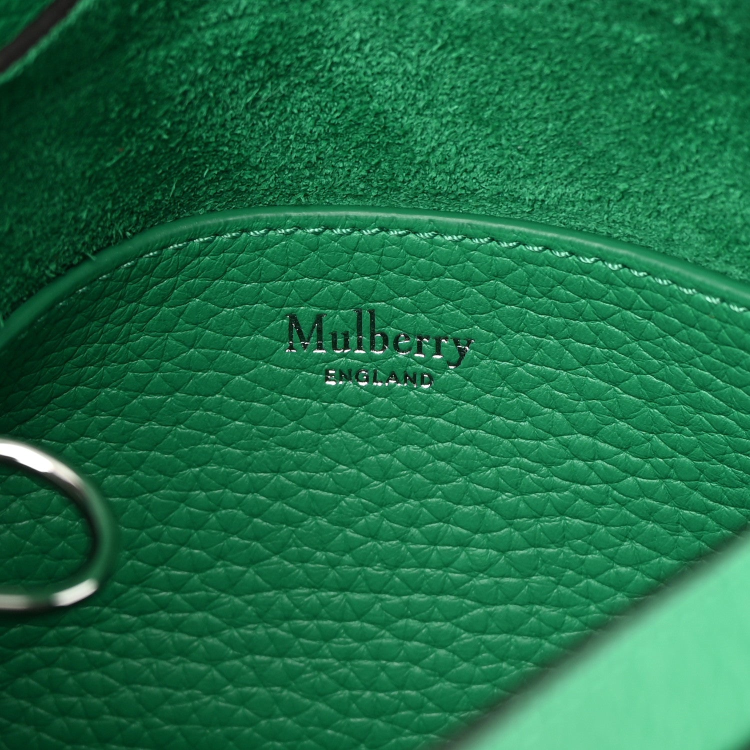Mulberry Heavy Grain Mini Alexa Lawn Green 6 of 10
