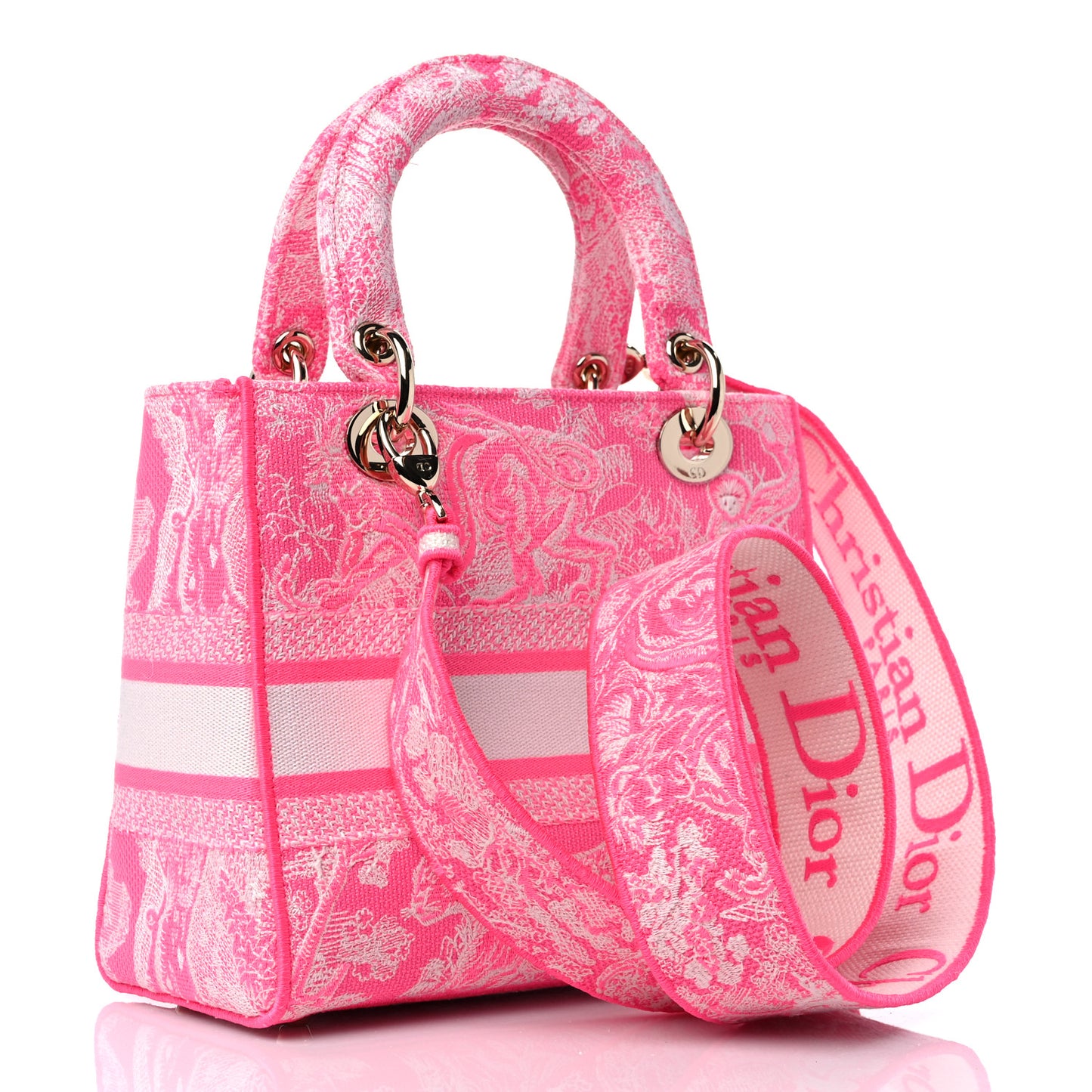 Canvas Toile De Jouy Reverse Embroidered Medium Lady D-Lite Fluorescent Pink