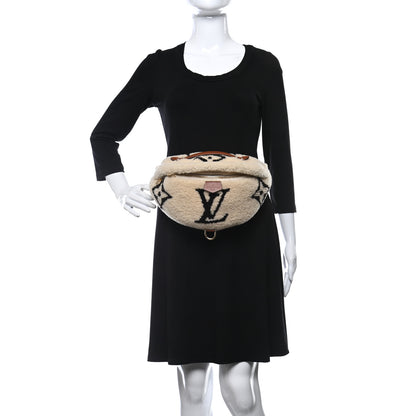 Louis Vuitton Monogram Teddy Bumbag 2 of 9