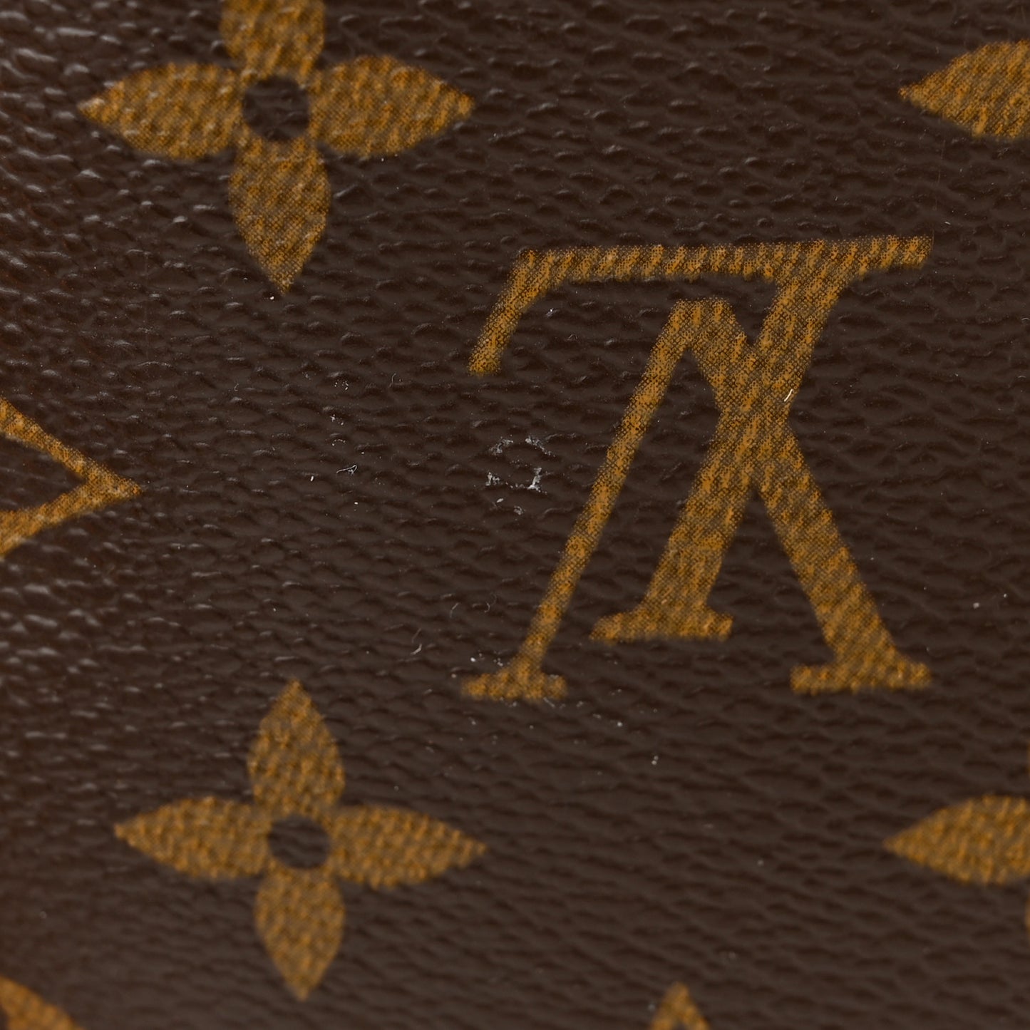 LOUIS VUITTON Monogram Mini Looping