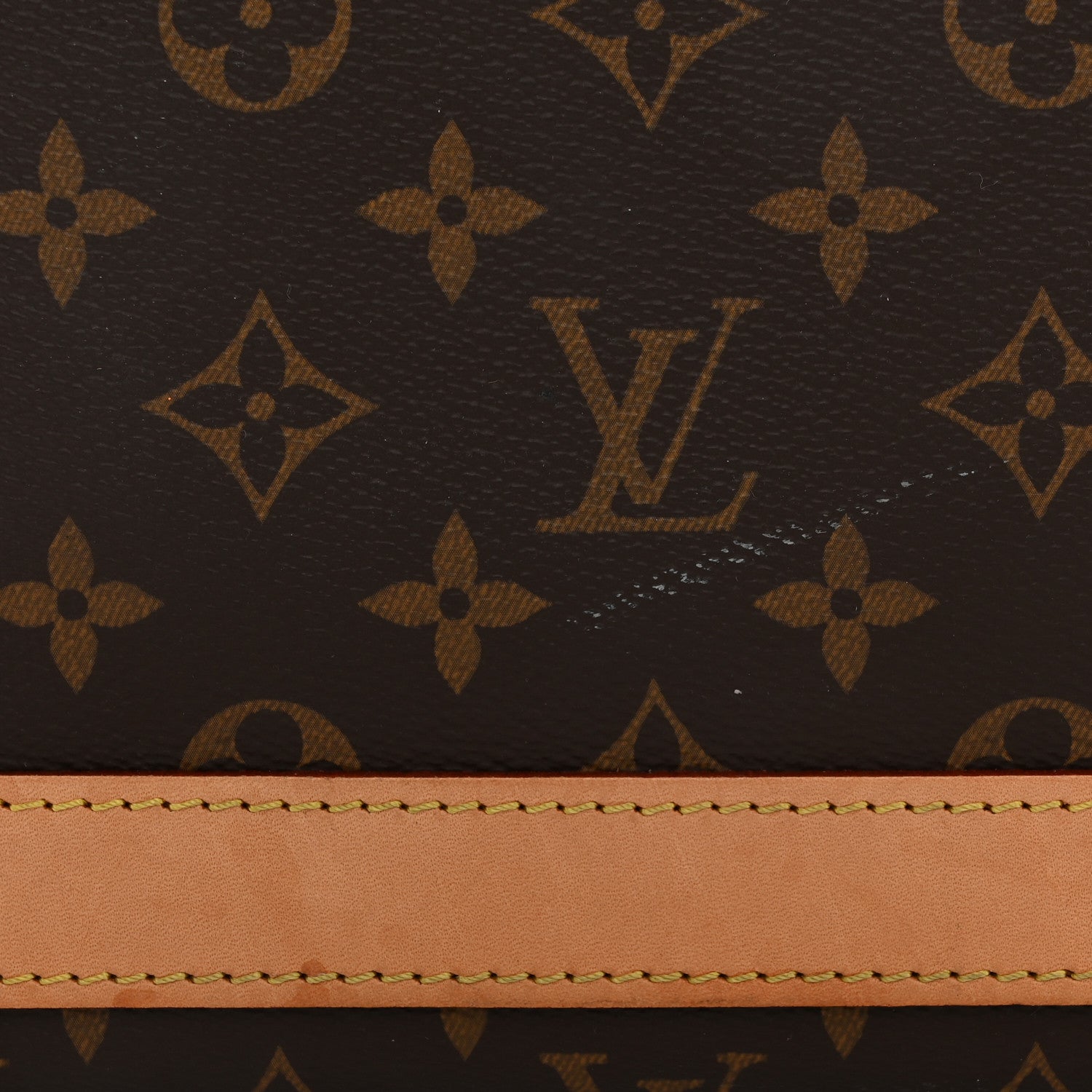 Louis Vuitton Monogram Sac Chien 40 Pet Carrier 11 of 22