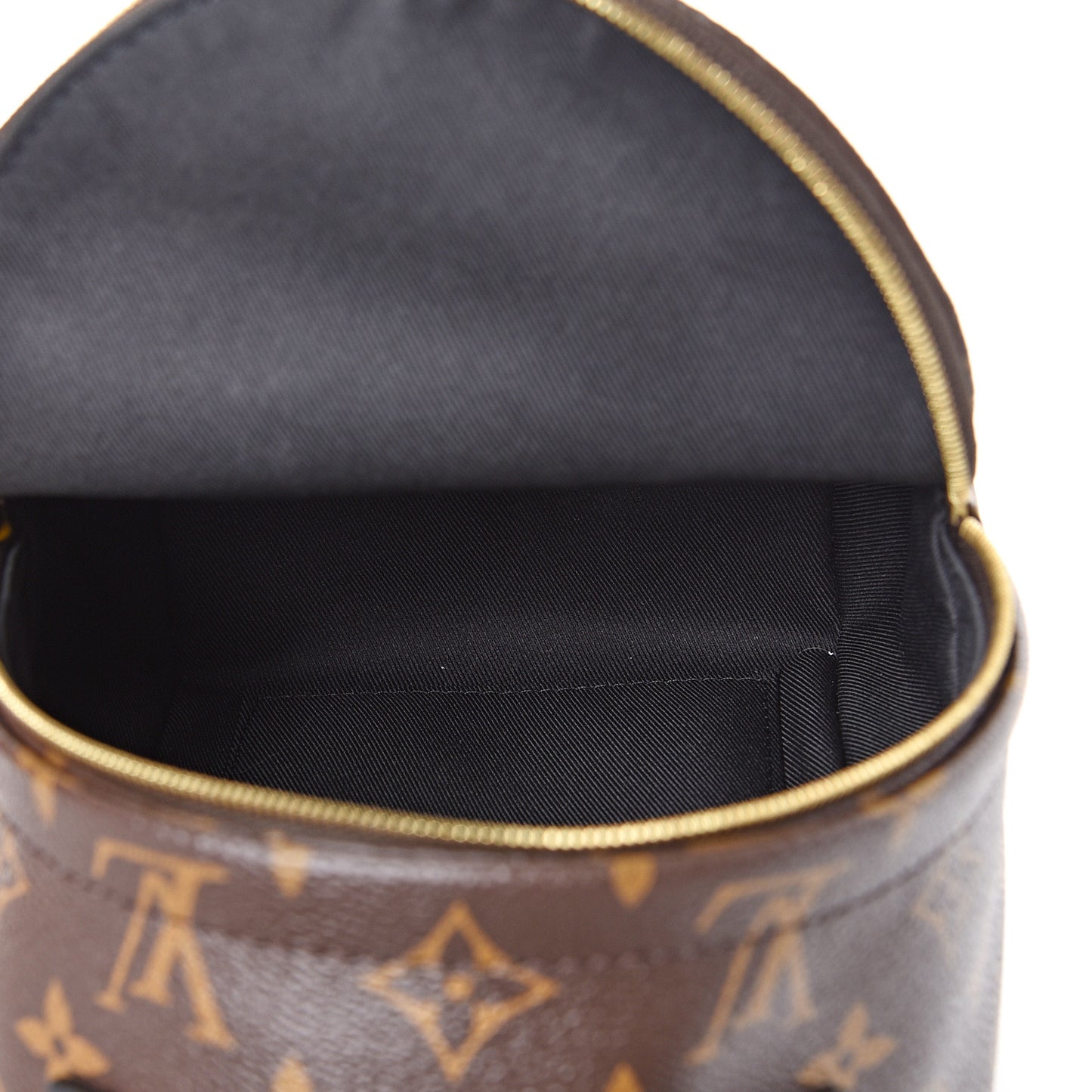 Monogram Palm Springs Backpack Mini