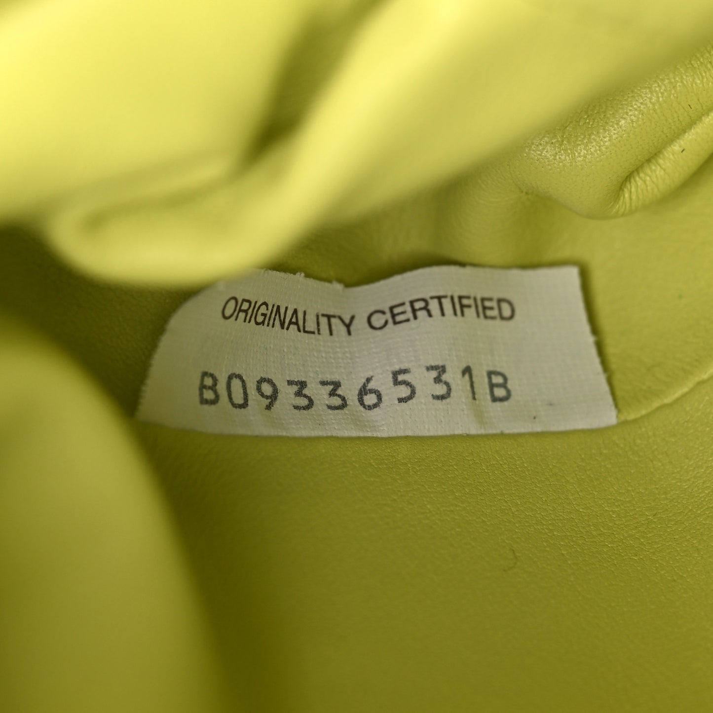 Butter Calfskin The Mini Pouch Seagrass