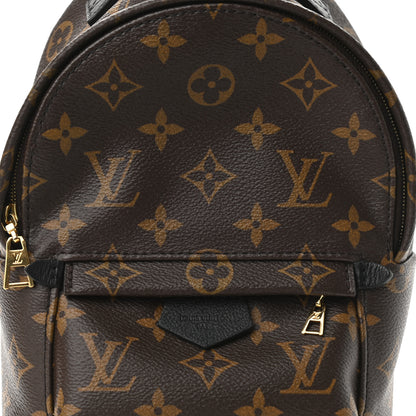 Louis Vuitton Monogram Palm Springs Backpack Mini 8 of 12
