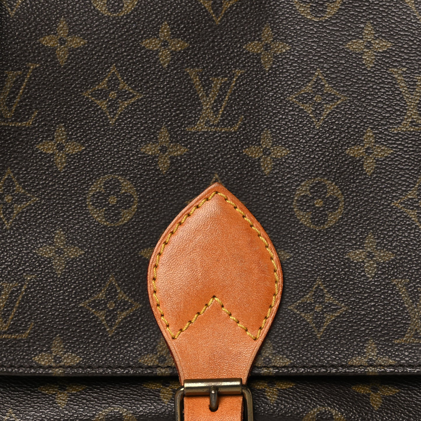 Monogram Cartouchiere 22