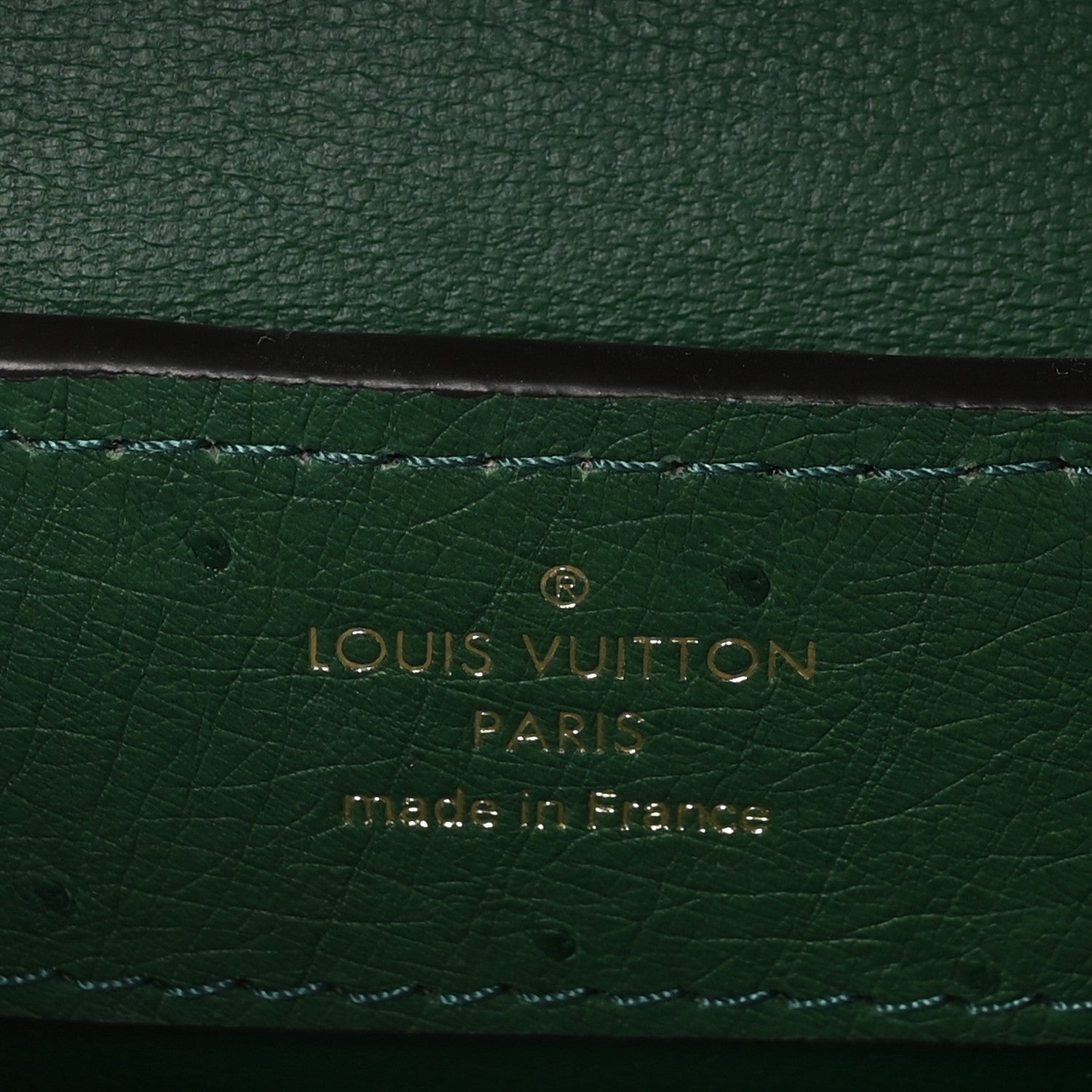 Louis Vuitton Ostrich Capucines Mini Mint 6 of 10