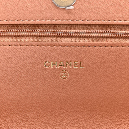 Chanel Lambskin Quilted Chanel 19 Wallet On Chain WOC Brown 6 of 12