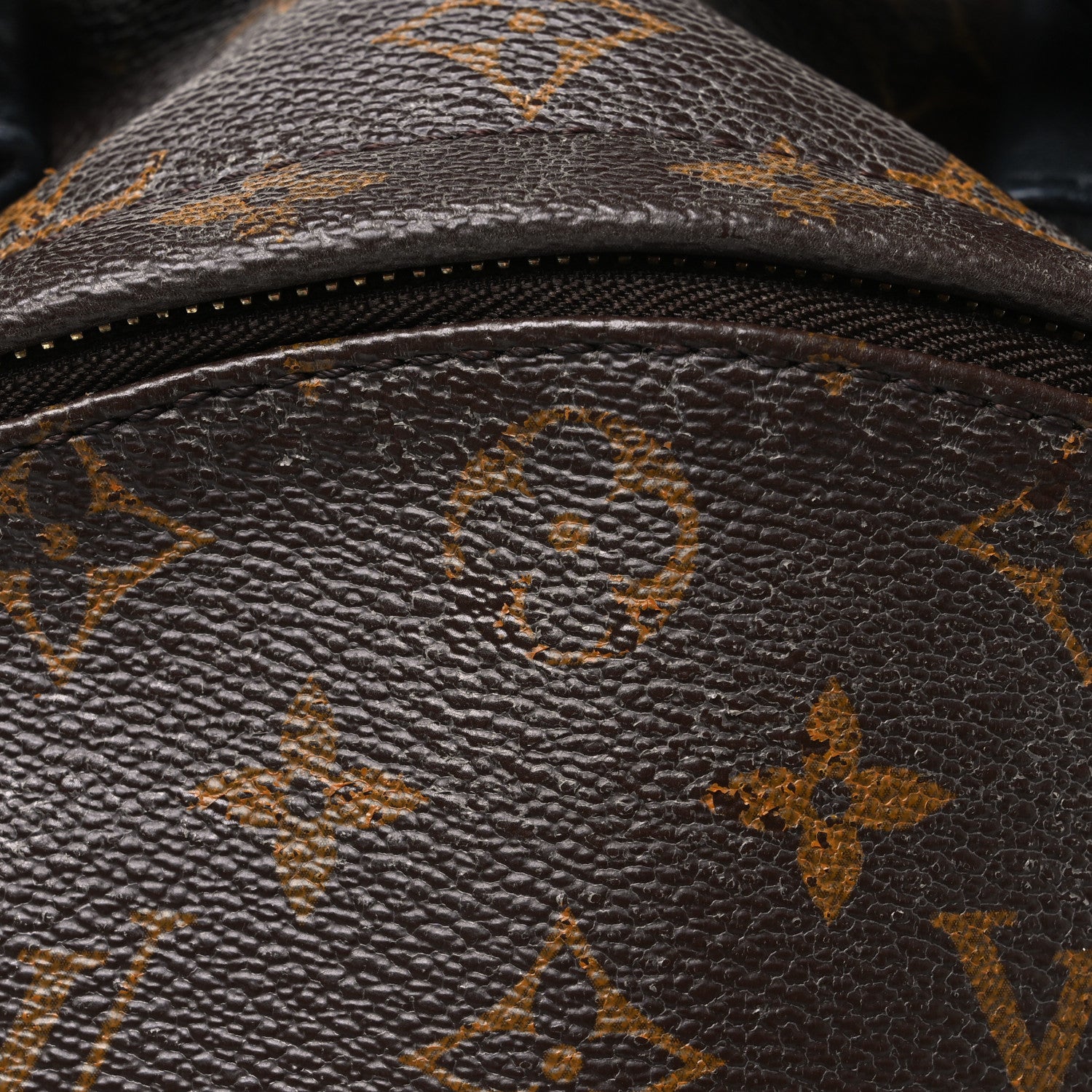 Louis Vuitton Monogram Palm Springs Backpack MM 8 of 11