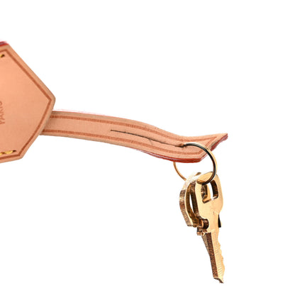 Louis Vuitton Monogram Chain Speedy 20 14 of 18