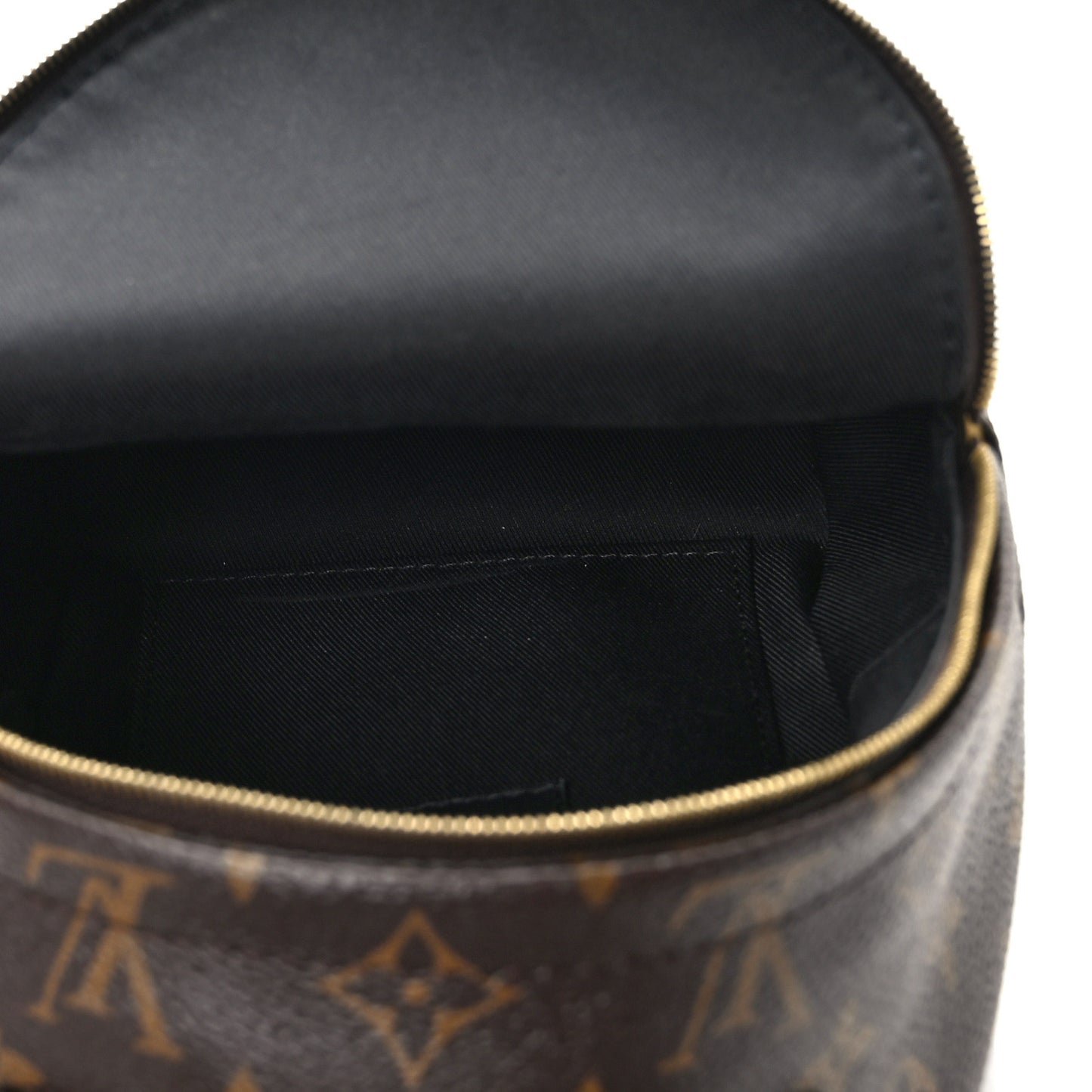 Monogram Palm Springs Backpack Mini