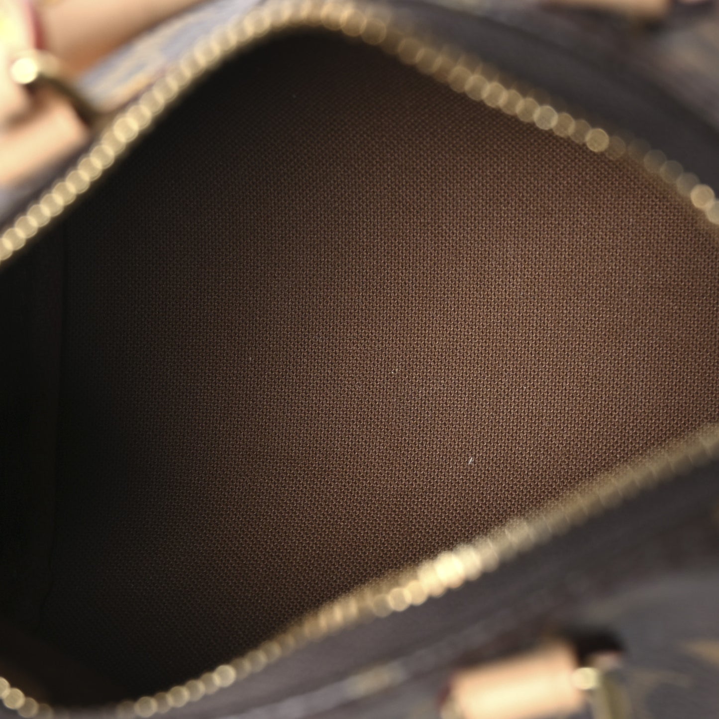 Monogram Nano Speedy