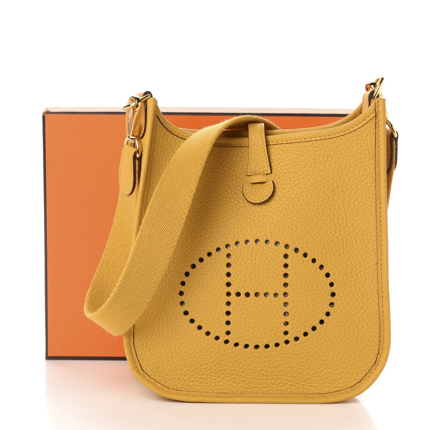Taurillon Clemence Evelyne TPM Jaune Ambre