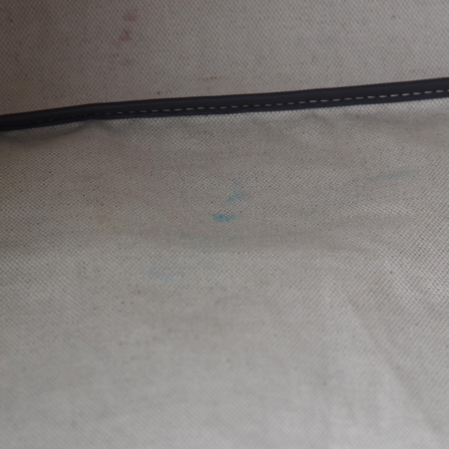 Goyard Goyardine Saint Louis PM Grey 6 of 9