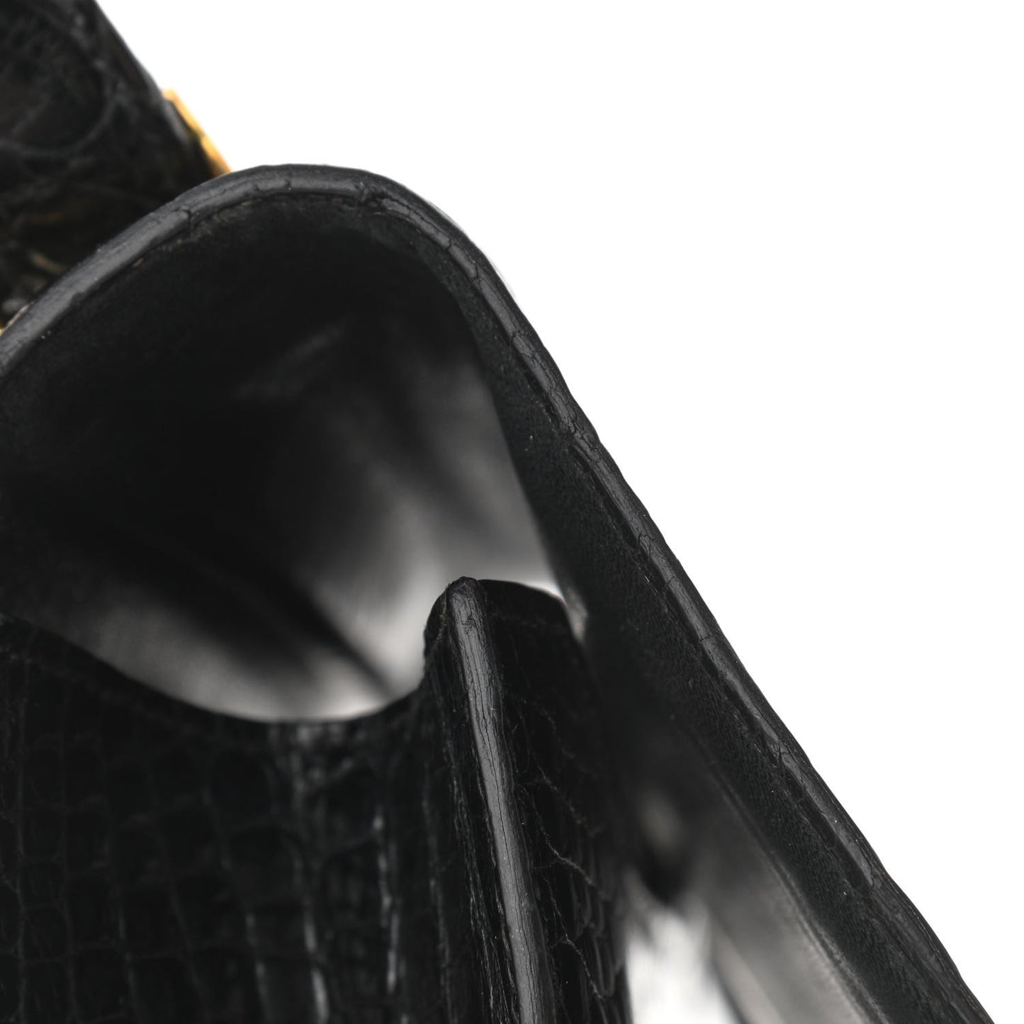 Shiny Porosus Crocodile Constance 23 Black