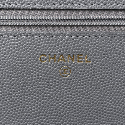 Chanel Caviar Quilted Wallet On Chain WOC Grey 6 of 11