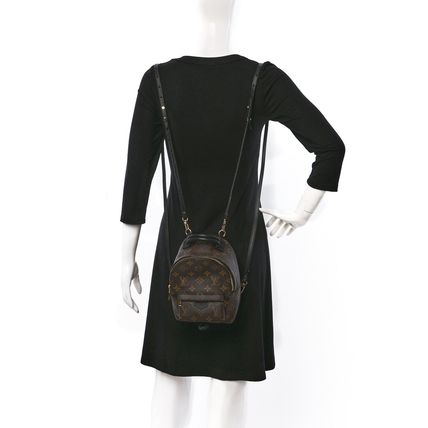 Monogram Palm Springs Backpack Mini