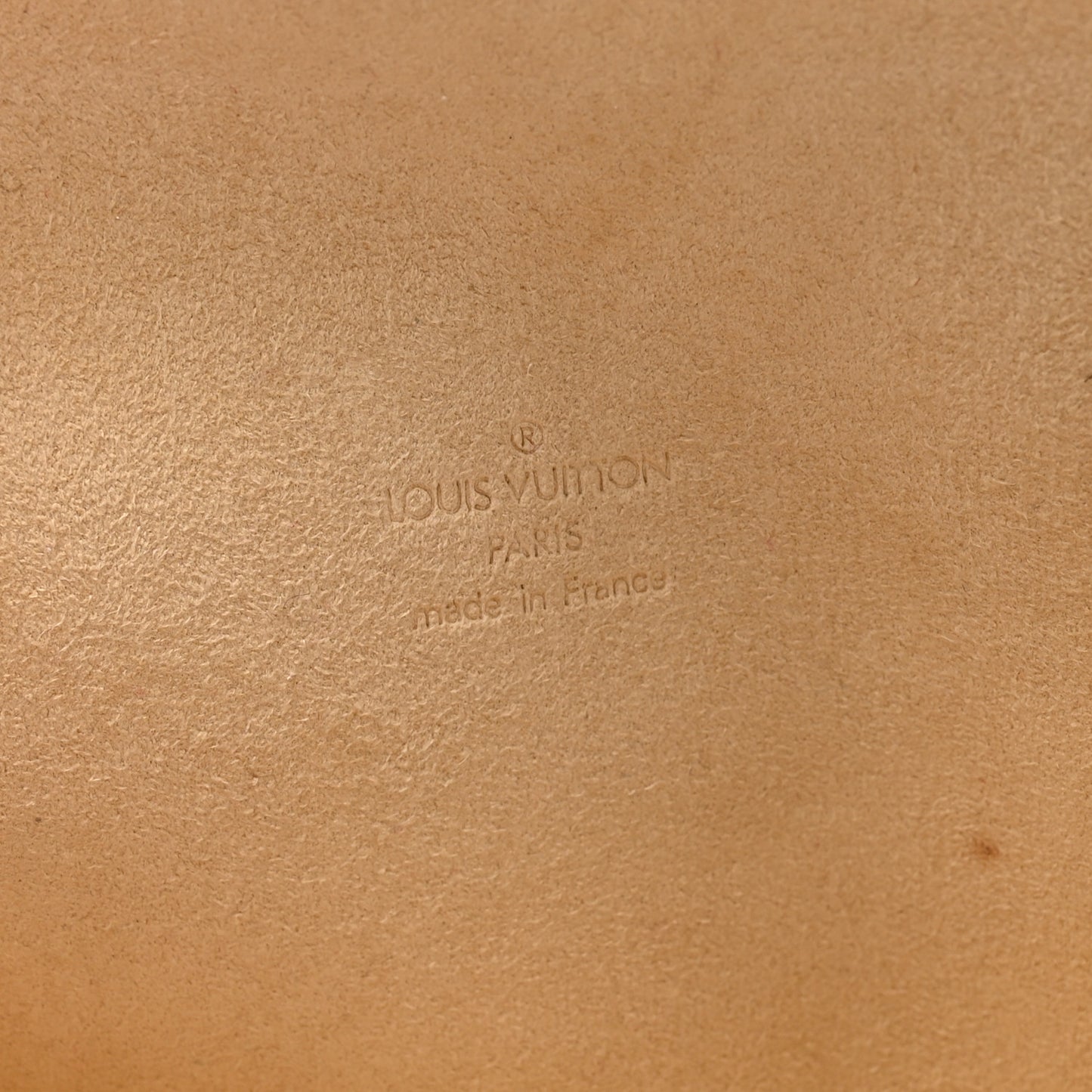 Monogram Pochette Florentine M