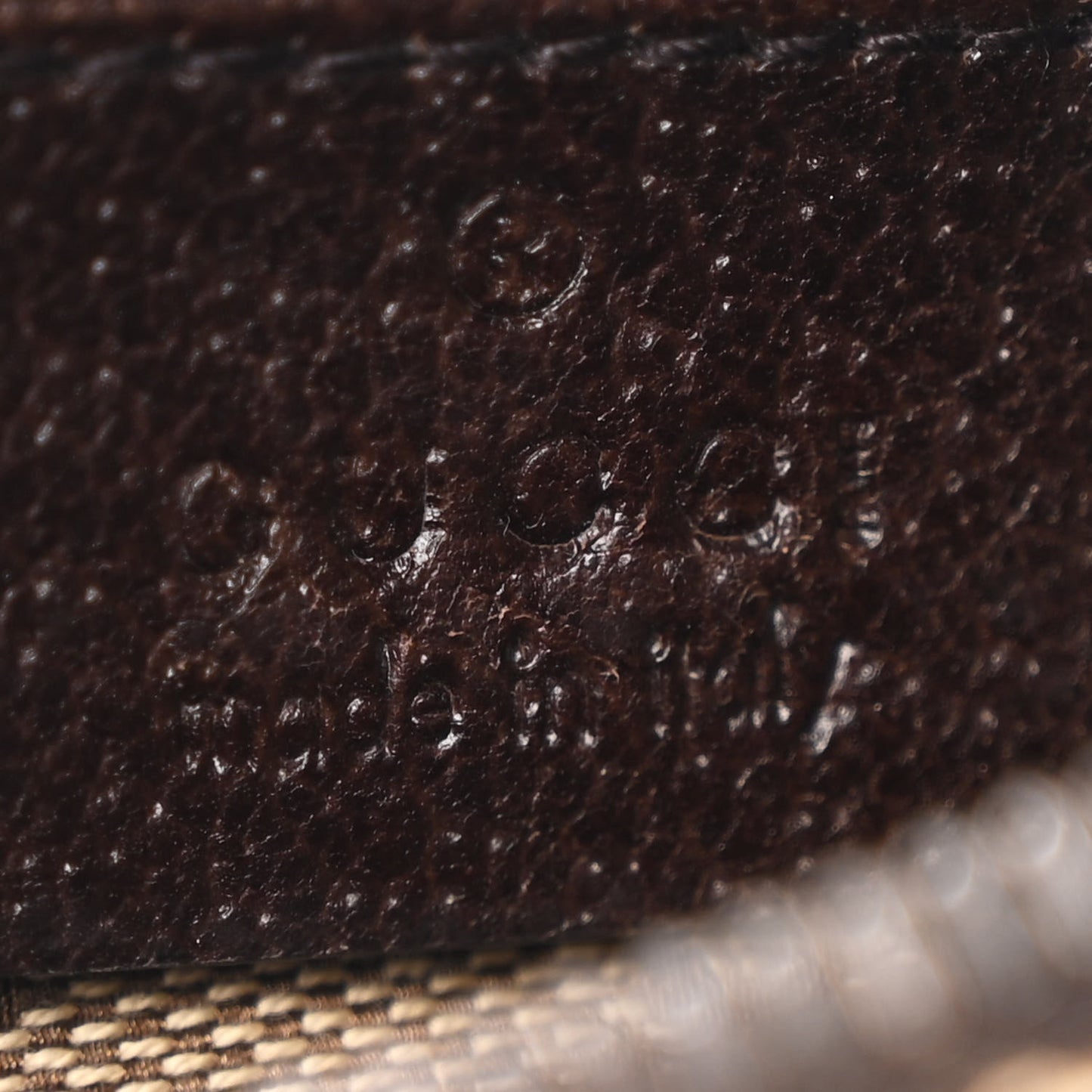 Monogram Web Belt Bag Dark Brown