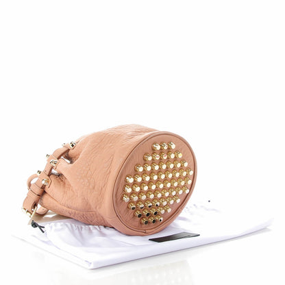 Alexander Wang Pebbled Lambskin Diego Bucket Bag Blush Pale Gold Hardware 4 of 7