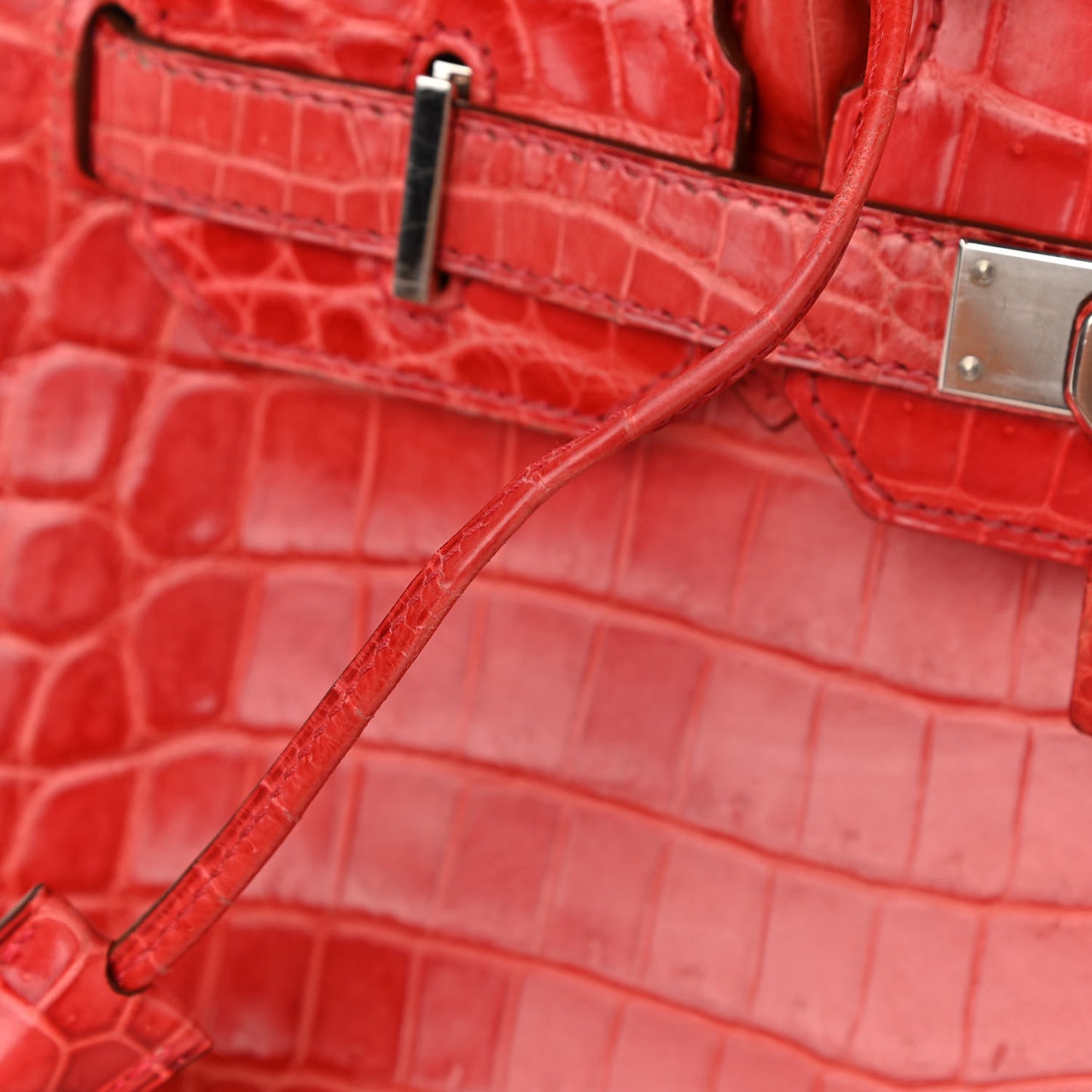 Shiny Niloticus Crocodile Birkin 30 Sanguine