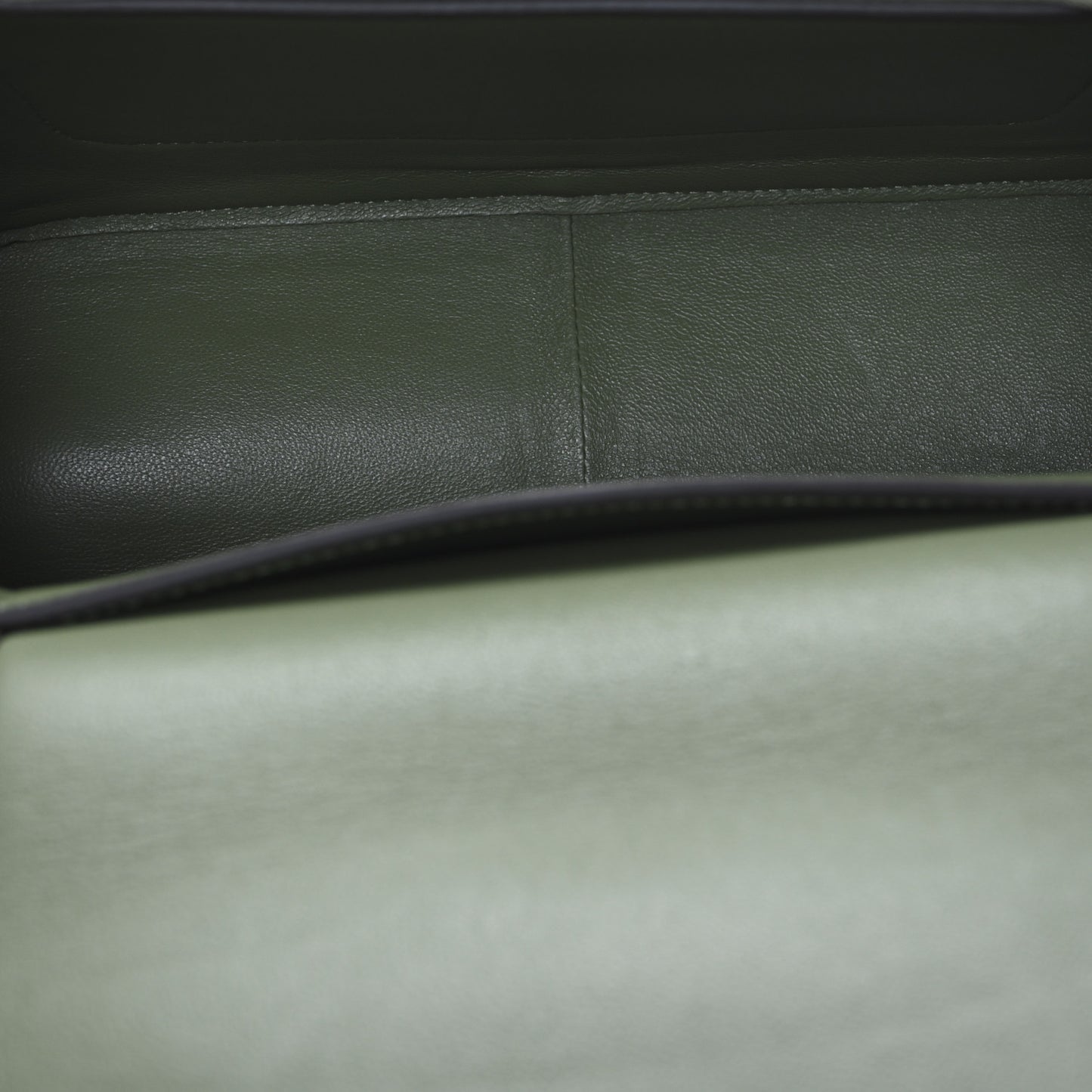 Shiny Smooth Calfskin Medium Frame Shoulder Bag Olive Pastel Green