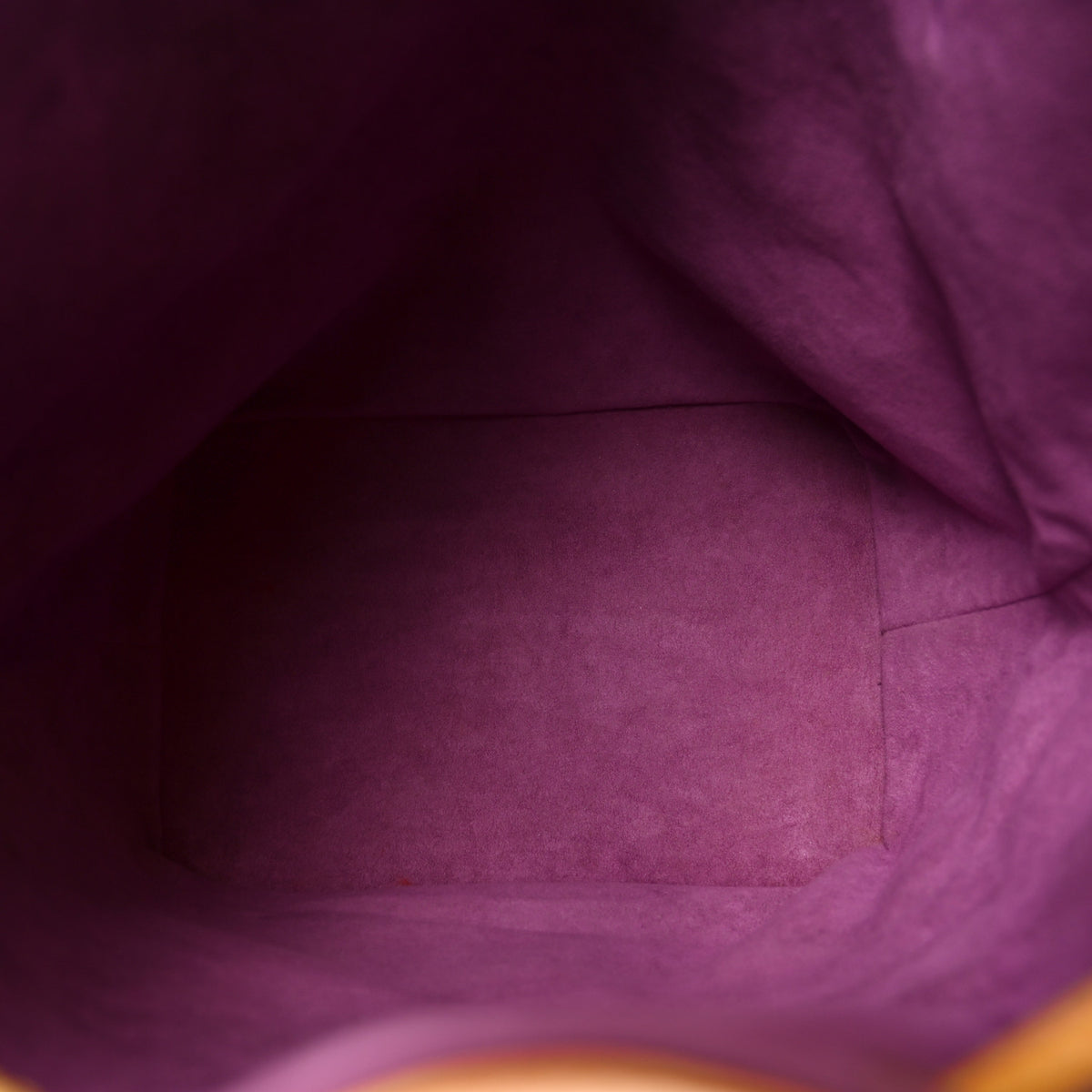 Louis Vuitton Epi Noe Tassil 5 of 9