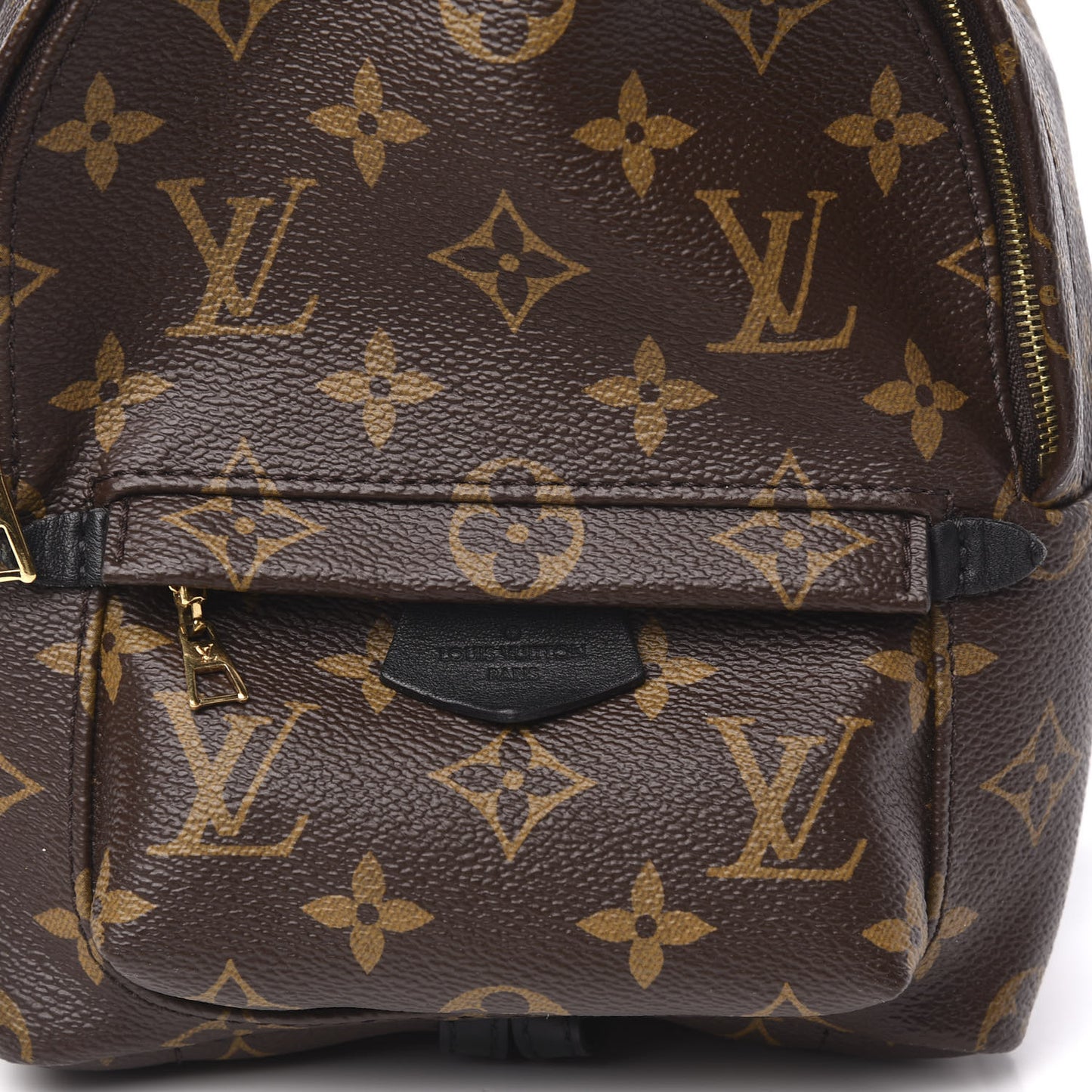 Monogram Palm Springs Backpack Mini