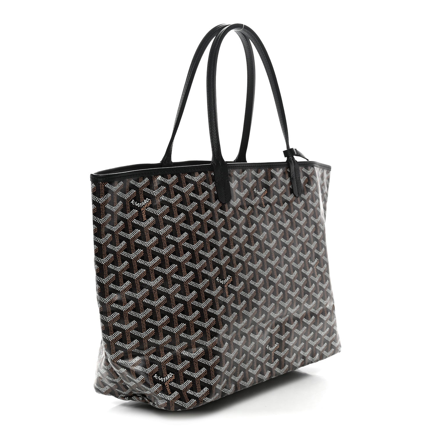 Goyard Goyardine Saint Louis PM Black 4 of 11