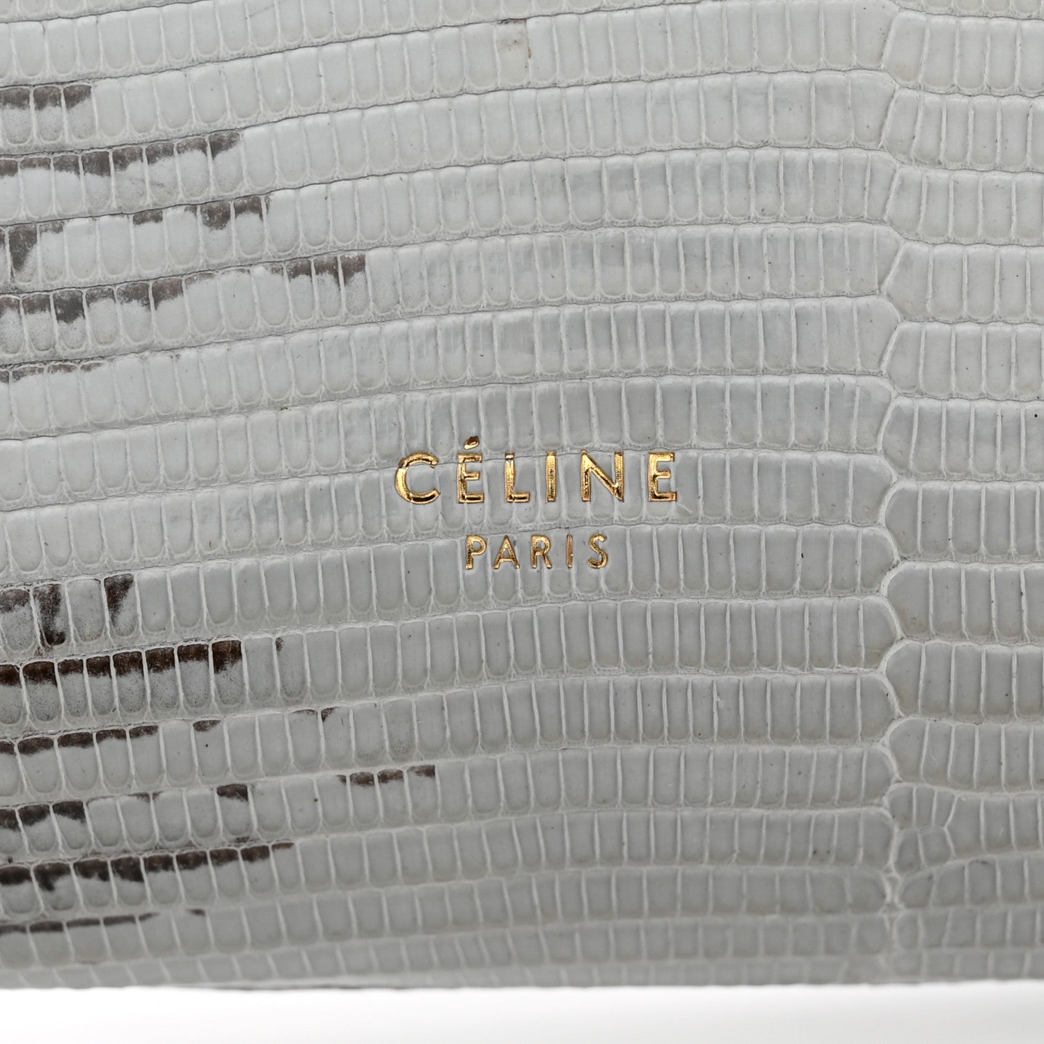 Celine Lizard Calfskin Large Multifunction Strap Wallet Natural 7 of 11