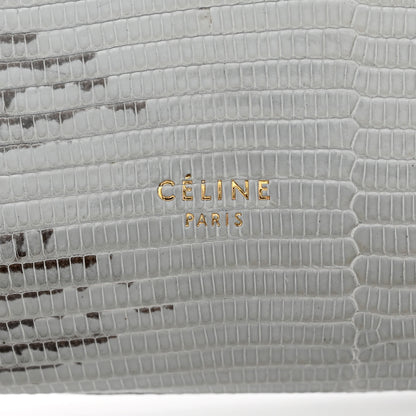 Celine Lizard Calfskin Large Multifunction Strap Wallet Natural 7 of 11