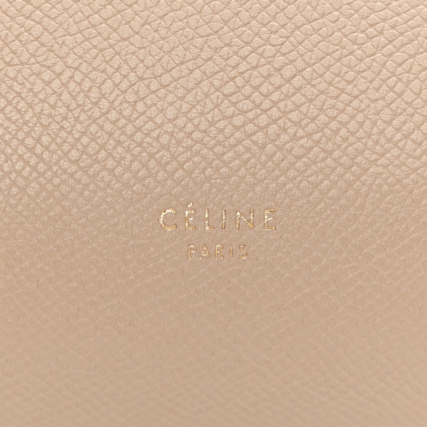 Grained Calfskin Mini Belt Bag Light Taupe