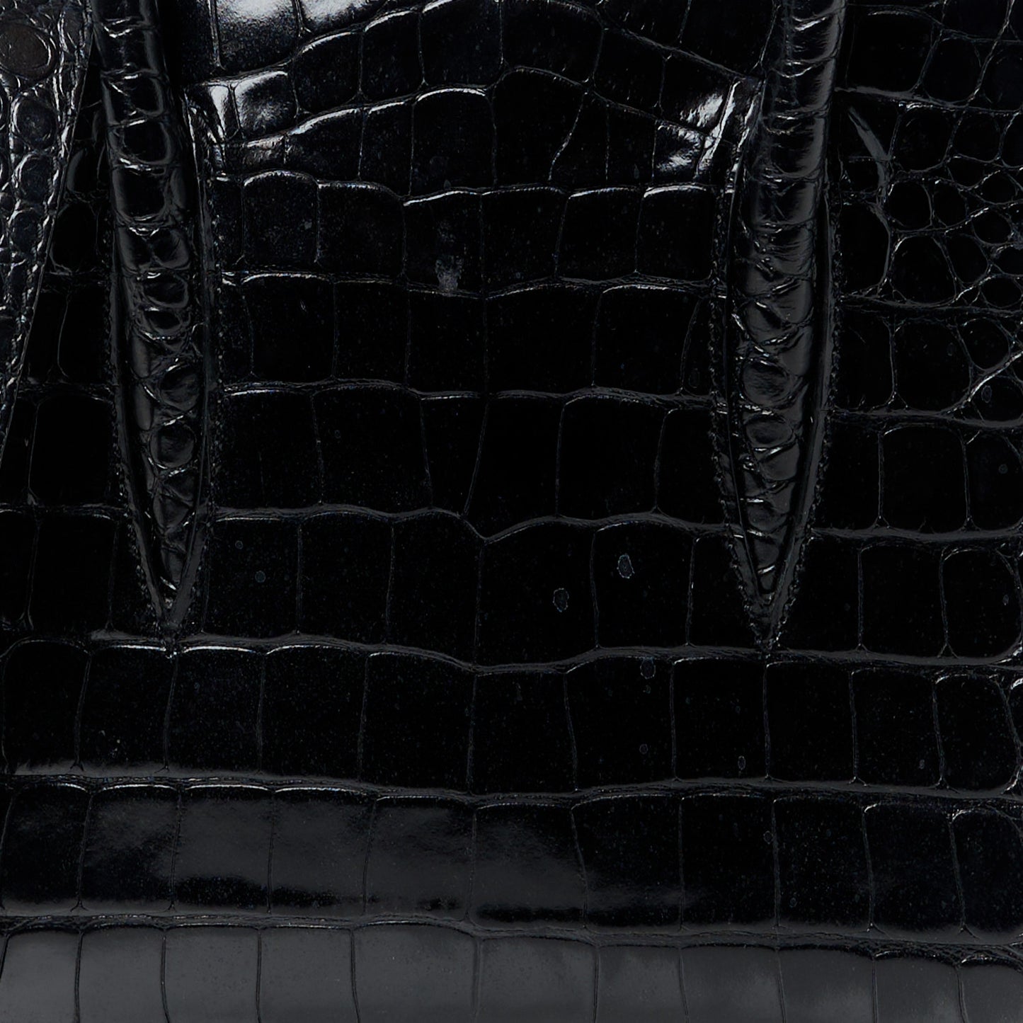 Calfskin Crocodile Embossed Mini Paloma Black