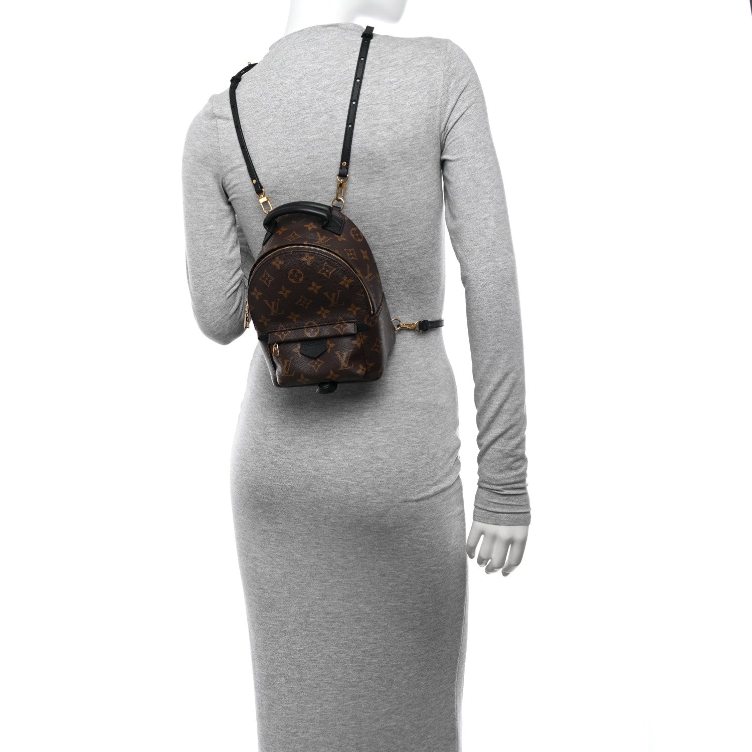 Louis Vuitton Monogram Palm Springs Backpack Mini 2 of 10