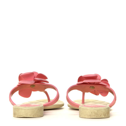 Chanel Jelly Quilted Camellia Thong Sandals 38 Beige Pink 10 of 12