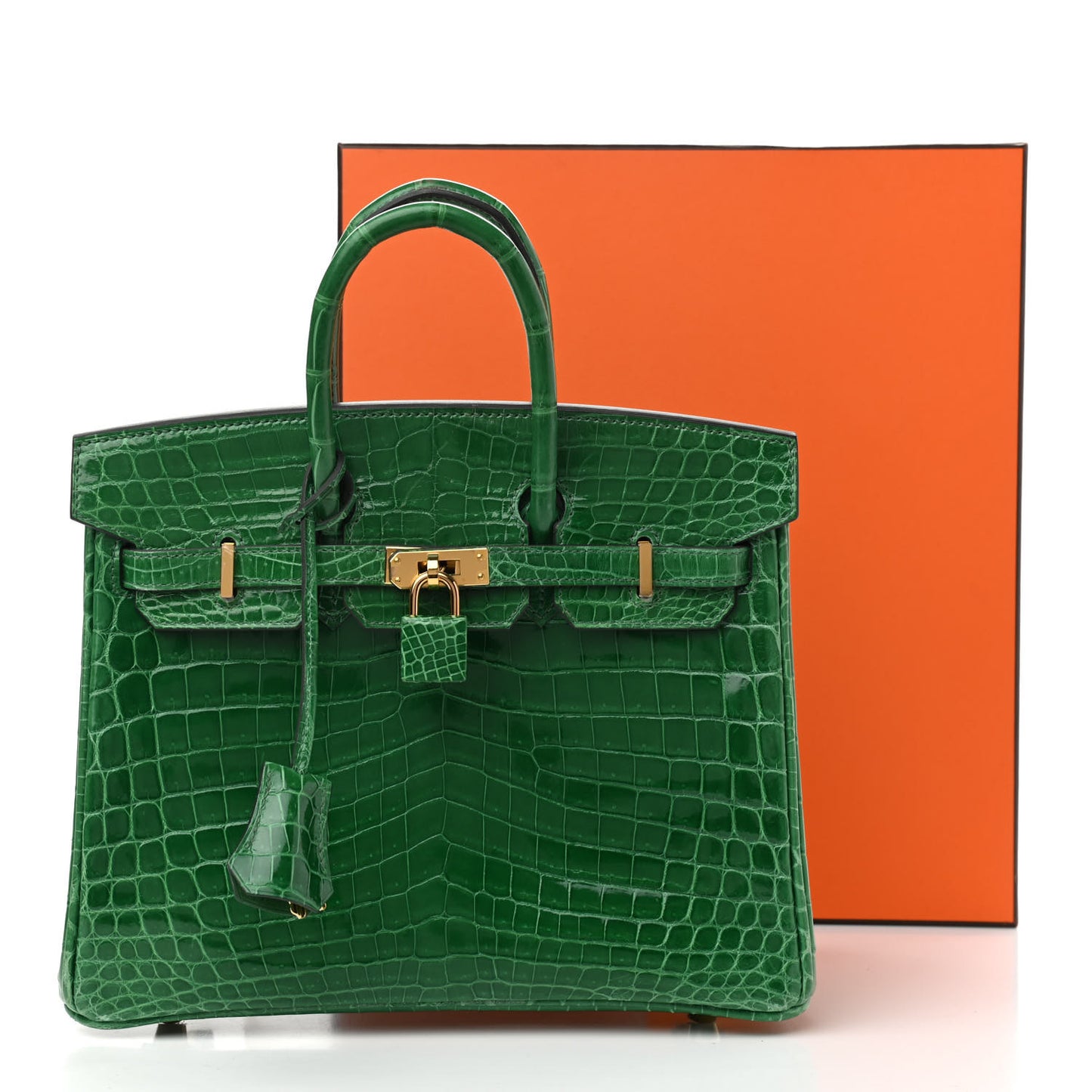 Shiny Niloticus Crocodile Birkin 25 Cactus