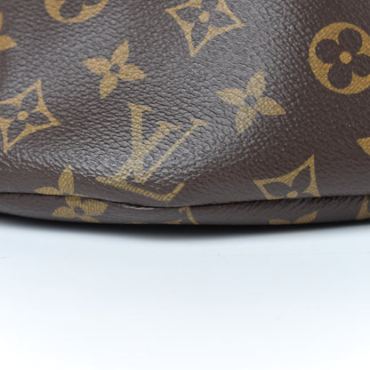 Louis Vuitton Monogram Bumbag 11 of 14