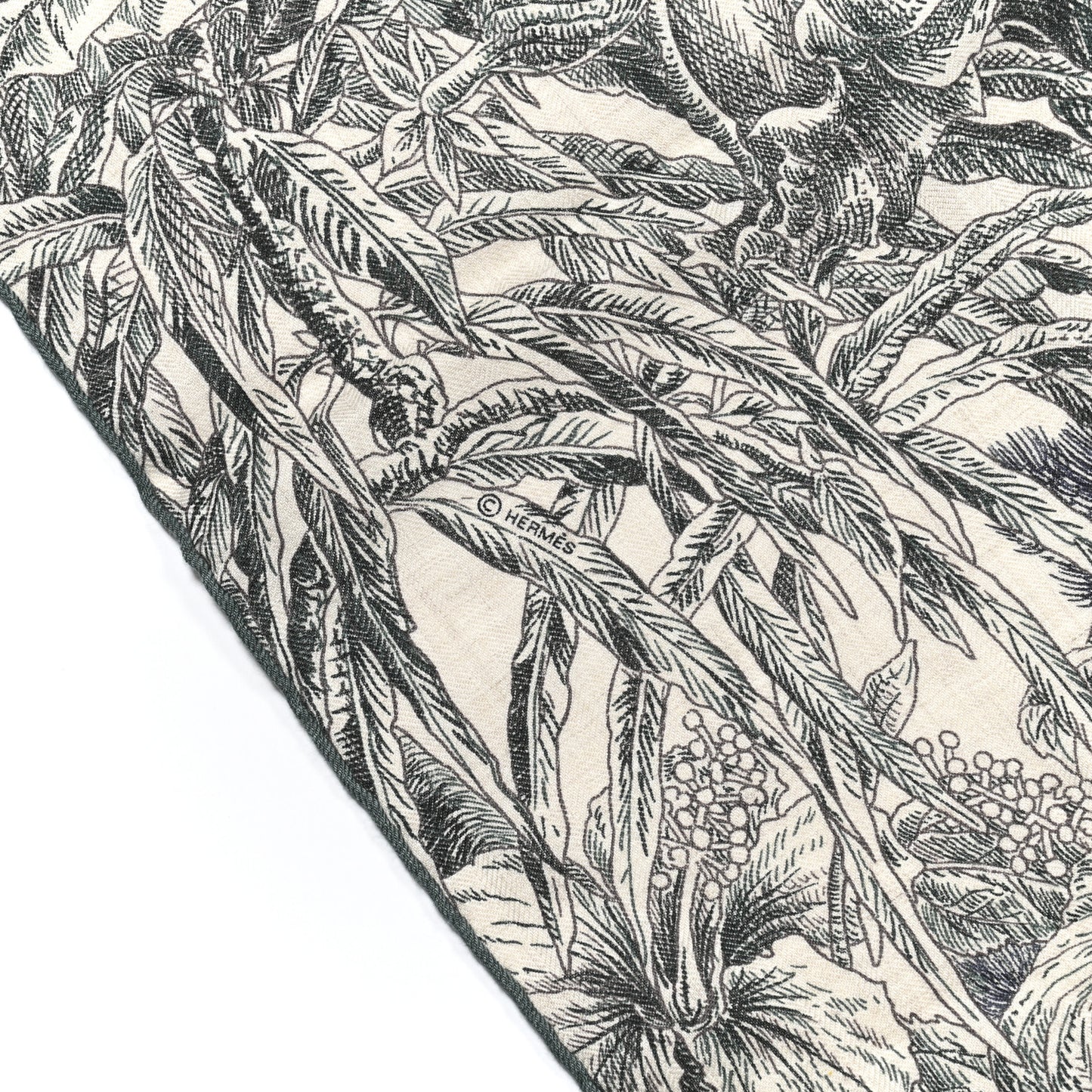 Cashmere Silk All 'Orto Botanico Di Palermo Shawl 140 Vert Loden Naturel Encre