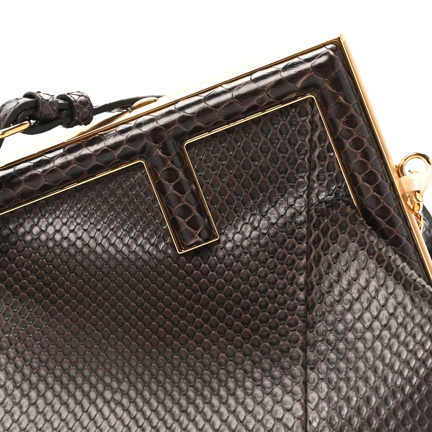 Fendi Snakeskin Small Fendi First Brown 8 of 10