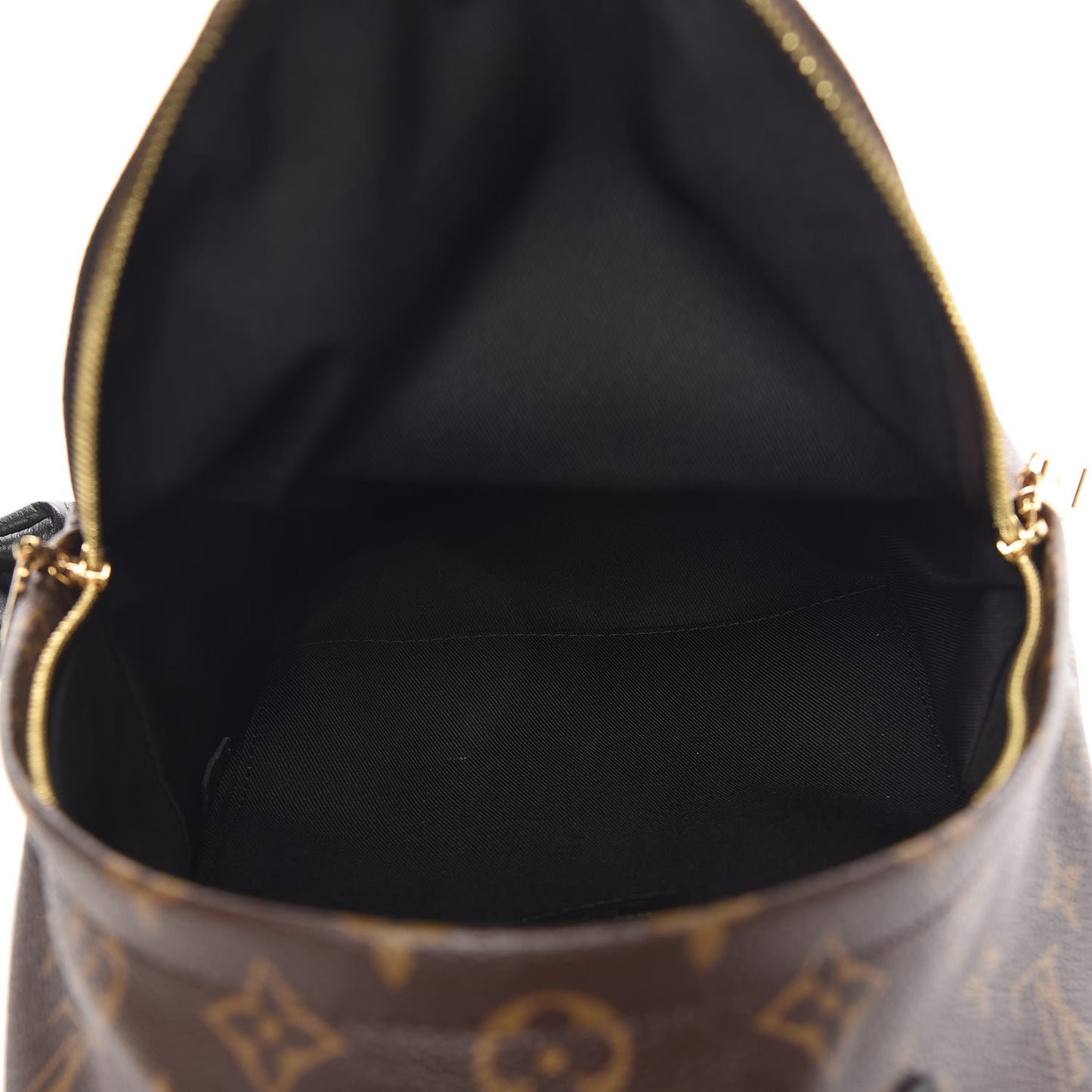 Monogram Palm Springs Backpack PM